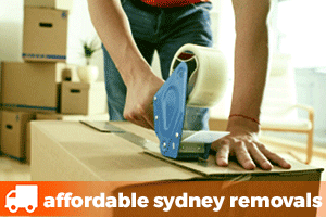 sealing a removalist box with a tape gun before the removalist arrives